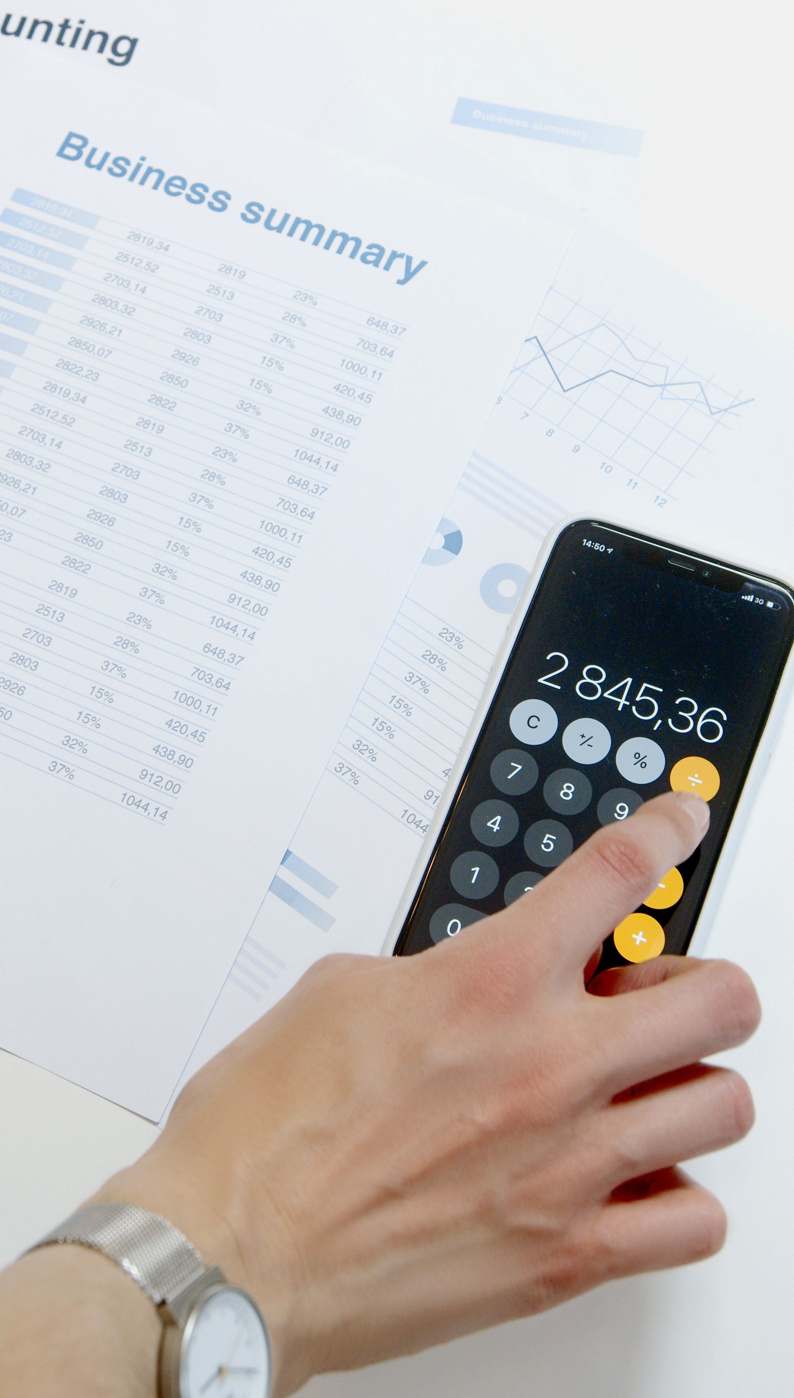 Professional accounting services